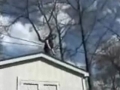 akrobacie-na-trampoline_tn.jpg