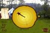 golden-arrow2.gif