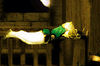 raidens-match.gif