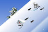 Yetisport 7 yetisport-7.gif