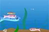 fishy.gif
