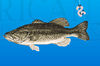 spawning-ground.gif