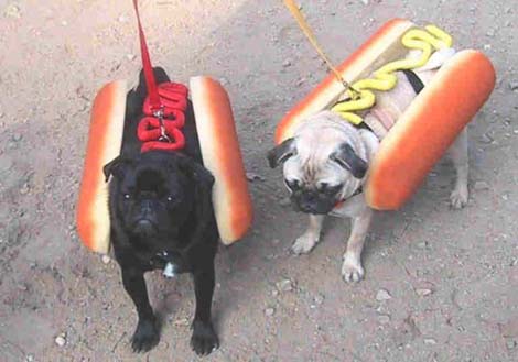 hot--dog.jpg