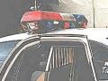 policejni-pes.jpg